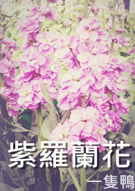 紫罗兰花海图片